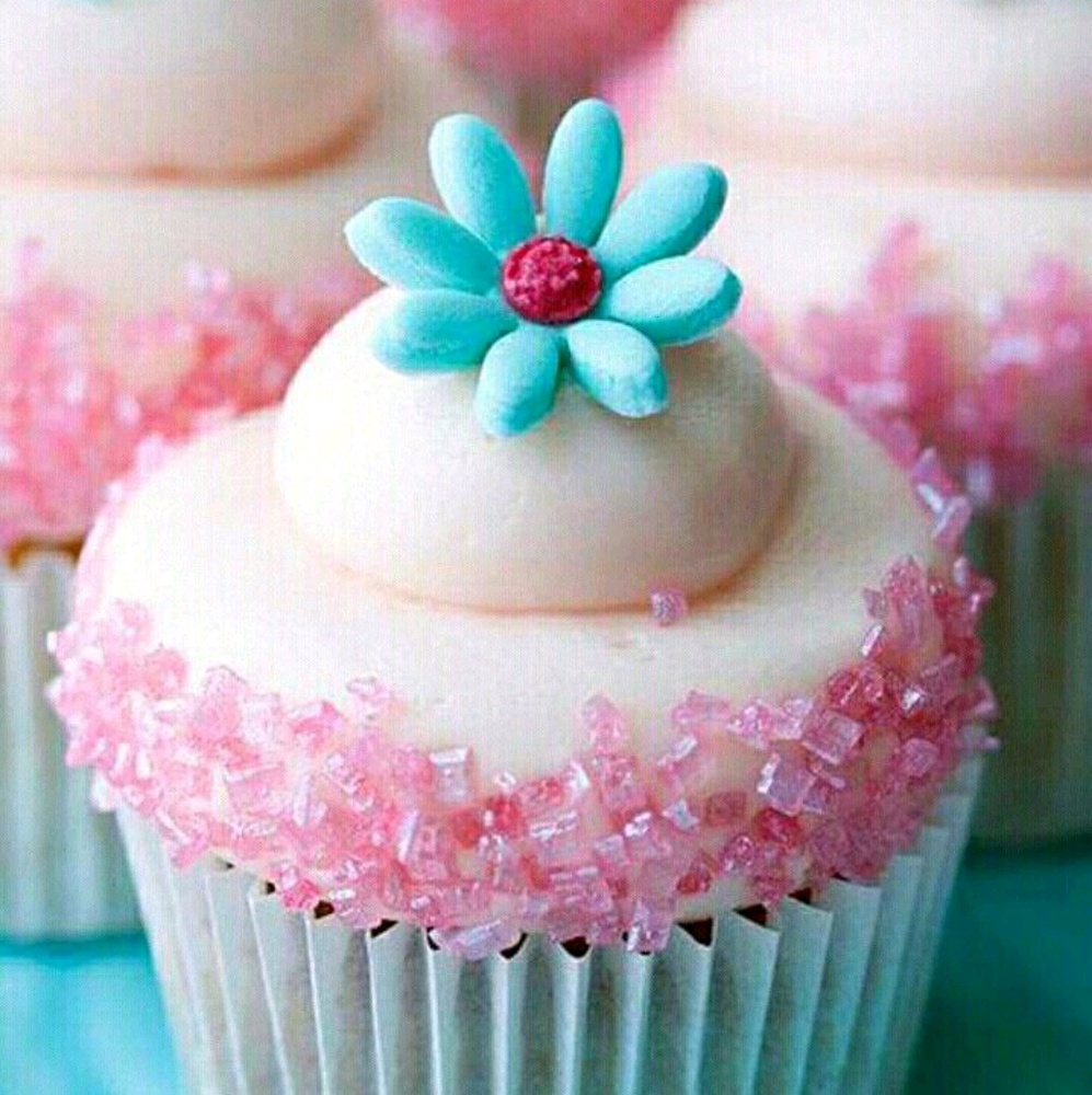 Meet your Posher, Danyel